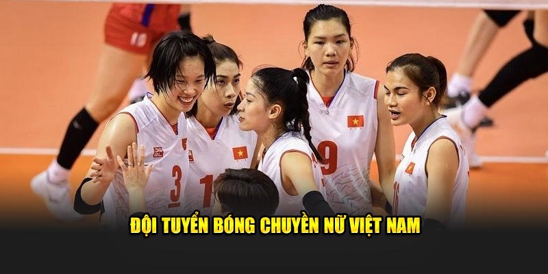 Tuyển bóng chuyền nữ Việt Nam